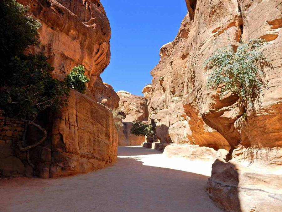 Jordanien | Die Schlucht Siq in der Felsenstadt Petra. Weg durch den Canyon gesäumt von rot und orangefarbenen Bergen mit einigen grünen Wüstenpflanzen bei blauem Himmel