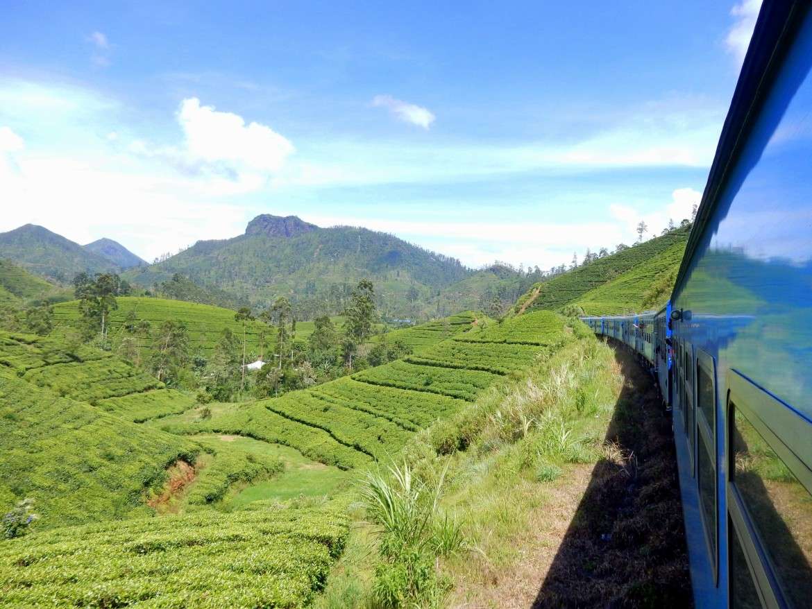 Sri Lanka | Ein blauer Dieselzug rattert durch die immergrünen Teeplantagen des Hochlandes von Kandy nach Ella. Die Fahrt gehört zu unseren Tipps zum Zug fahren auf Sri Lanka
