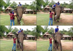 Laos | Henning beim "Aufstieg" auf einen Elefanten, gar nicht so ohne und ziemlich wacklig