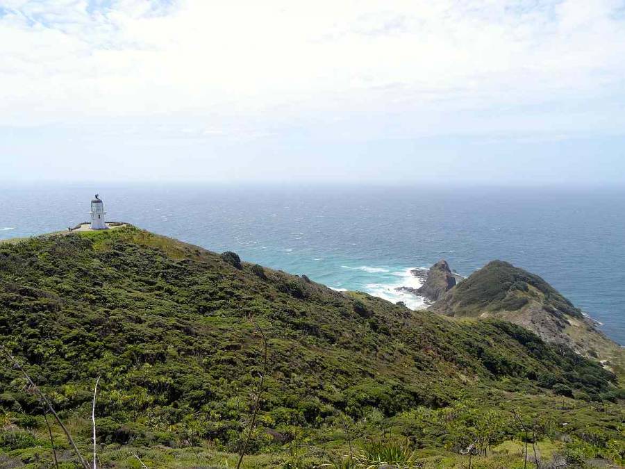 Neuseeland | Nordinsel, Hoher Norden, Leuchtturm am Cape Reinga & hoher Norden. Blick aus der Ferne auf den weißen Turm und die grün bewachsenen Klippen vor blauem Meer