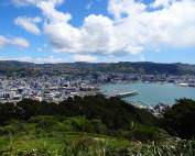 Neuseeland | Nordinsel, Ausblick vom Mount Victoria in Wellington auf die Stadt, den Hafen das Meer umgeben von Urwald. In unserem Hauptstadt-Guide gibt es Tipps zu Highlights, Sehenswürdigkeiten & zum Camping