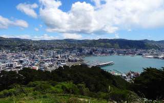 Neuseeland | Nordinsel, Ausblick vom Mount Victoria in Wellington auf die Stadt, den Hafen das Meer umgeben von Urwald. In unserem Hauptstadt-Guide gibt es Tipps zu Highlights, Sehenswürdigkeiten & zum Camping