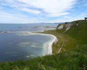 Neuseeland | Südinsel, Kaikoura Scenic Reserve South Bay. Blick auf eine Bucht mit türkisfarbenem Meer und eine mit sattgrünen Wiese bewachsenen Klippe