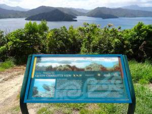 Neuseeland | Südinsel, Queen Charlotte Sound View in der Nähe von Picton