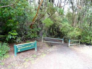 Neuseeland | Südinsel, Startpunkt zum ca. 10-minütigen Purakaunui Falls Walk
