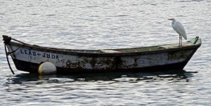 Brasilien | Ilha Grande, Ein Silberreiher auf einem Boot genießt ebenfalls den Sonnenuntergang
