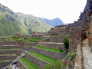 Peru | Heiliges Tal, Ollantaytambo Ruinen, Typische Terrassen für Landwirtschaft über Treppen erreichbar. Blick auf die meterhohgen Terrassen mitten in der Ruine, bewachsen mit sattgrünem Gras