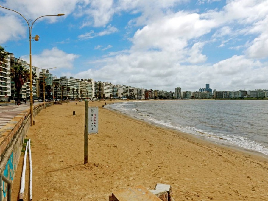 Montevideo | interessante Orte: Die sichelförmige Bucht am Playa de los Pocitos ist einer der beliebtesten Strände am Rambla. Der gelbe Stadtstrand ist vor Appartement-Häusern gelegen und erinnert an Miami