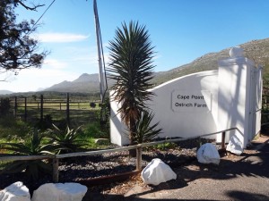 Südafrika | Kapstadt, Kap-Halbinsel, Cape Point Ostrich Farm. Blick auf den Eingang
