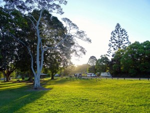 Australien | Camping in Buringbar in New South Wales. Idyllischer kostenloser Campingplatz mitten im Grünen