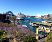 Australien | Sydney, Panorama auf Circular Quay mit Hafen, Oper und Harbour Bridge. Sehenswürdigkeiten, interessante Orte & Reise-Highlights gibt es viele. Unsere Top-Tipps & Touren haben wir in unserem Guide & Reisebericht zusammengefasst