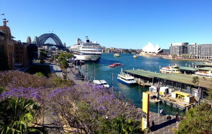 Australien | Sydney, Panorama auf Circular Quay mit Hafen, Oper und Harbour Bridge. Sehenswürdigkeiten, interessante Orte & Reise-Highlights gibt es viele. Unsere Top-Tipps & Touren haben wir in unserem Guide & Reisebericht zusammengefasst