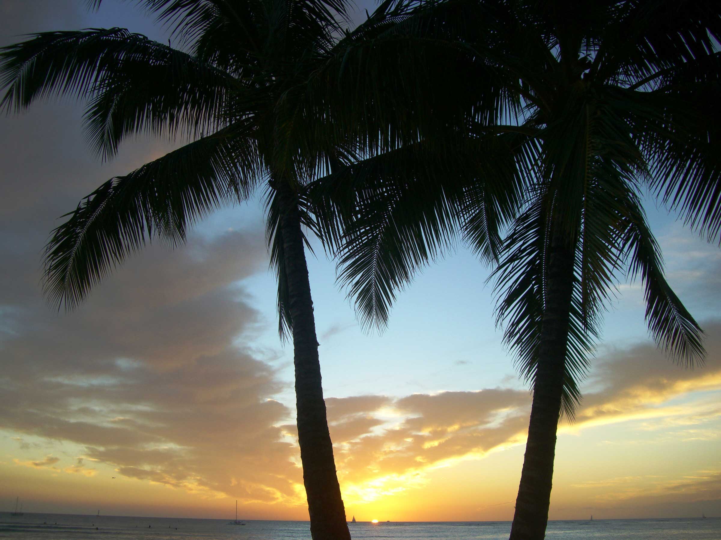 Der perfekte Ort: Maui Hawaii
