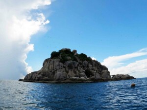 Shark Island, ein beliebter Schnorchel und Tauchspot vor Koh Tao
