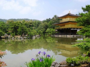 Der Goldene Pavillion in Kyoto, mein persönliches Highlight